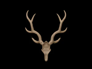 antler 3D Model
