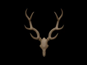 antler 3D Model