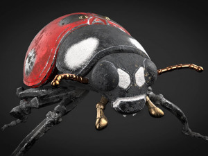 ladybug-2021 game ready Model 3D