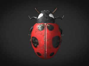 ladybug-2021 game ready Model 3D