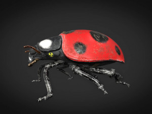 ladybug-2021 game ready Model 3D