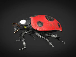 ladybug-2021 game ready 3D Model