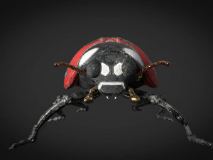 ladybug-2021 game ready Model 3D