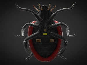 ladybug-2021 game ready 3D Model