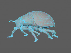 ladybug-2021 game ready Model 3D