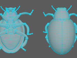ladybug-2021 game ready Model 3D