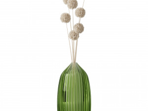 Decorative dried plants vol1 3D Model