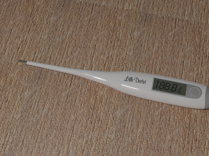 thermometer 3D 模型