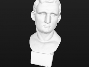 agrippa generated by revopoint pop 3D Model