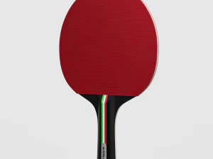 table tennis paddle 3D Model