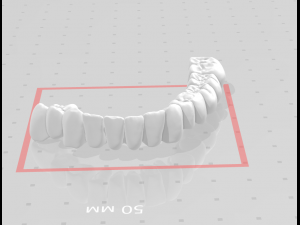 tooth 3D Baskı Modeli