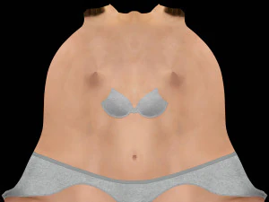 ladies ballerina skirt and top dancing 3D Model