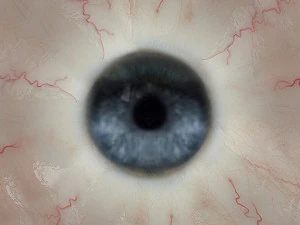 여성용 미니 스커트와 상의 3D 모델