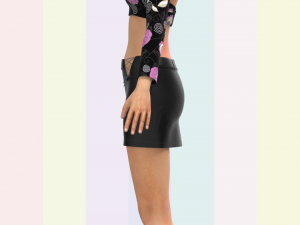 ladies mini skirt and tops 3D Model