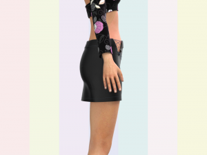 ladies mini skirt and tops 3D Model
