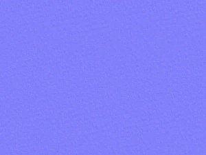 여성용 미니 스커트와 상의 3D 모델