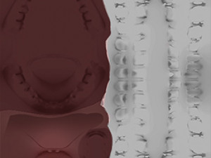 ladies mini skirt and tops 3D Model