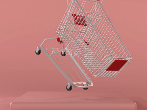 ShoppingcartZak 3D Model
