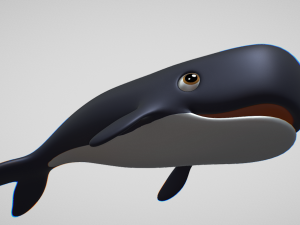 whale 3D Model
