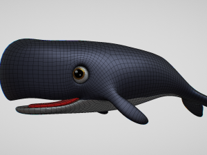 whale 3D Model
