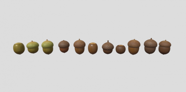 acorn Model 3D .c4d .max .obj .3ds .fbx .stl .blend 