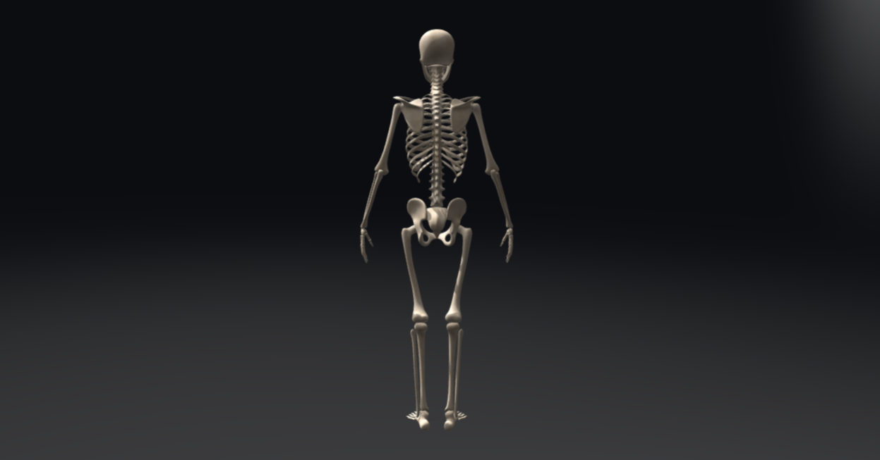 Скелет из игры. Skeleton 3.0 400m