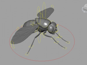 Fly insect Model 3D