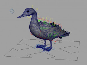 Mallard Bird 3D मॉडल