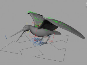 Snipe Bird 3D-Modell