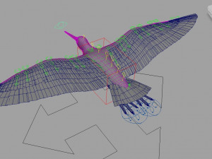 Snipe Bird 3D-Modell