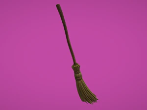 Broom 3D Model