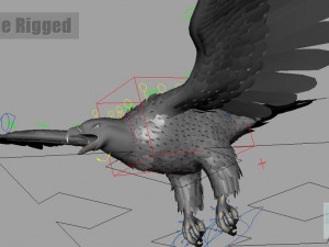 Eagle Model 3D
