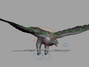 Eagle 3D Model