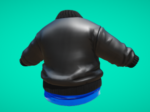 Cloth jumper 3D मॉडल