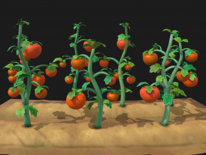 Tomato farm 3D 模型