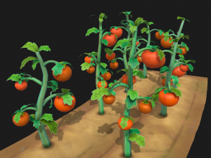 Tomato farm Modello 3D