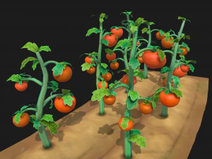 Tomato farm 3D Model