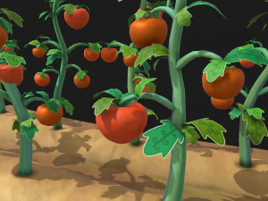 Tomato farm 3D Model