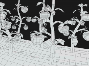 Tomato farm Modello 3D