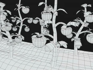 Tomato farm 3D Model