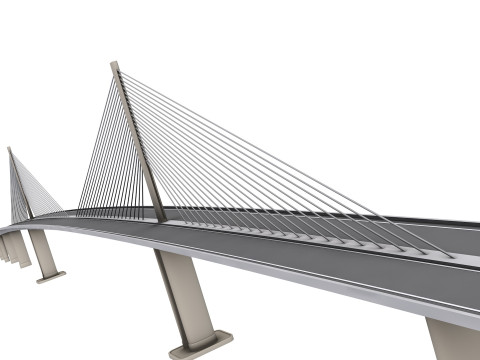 Sunshine Skyway Bridge Modèle 3D