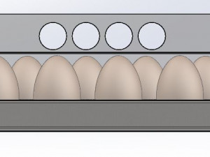EGGS BOX CAJA DE HUEVOS EMPAQUE 3D मॉडल