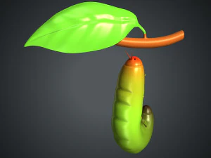 butterfly anatomy 3D Model