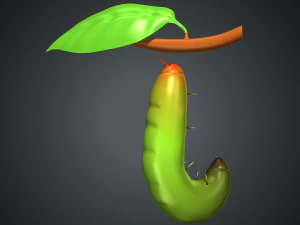 butterfly anatomy 3D Model