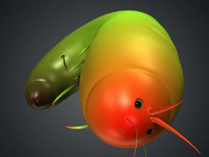 butterfly anatomy 3D Model