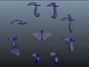 butterfly anatomy 3D Model