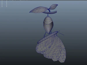 butterfly anatomy 3D Model