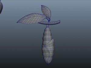 butterfly anatomy 3D-Modell
