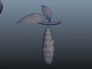 butterfly anatomy 3D Model