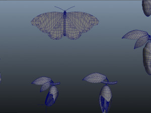 butterfly anatomy 3D-Modell
